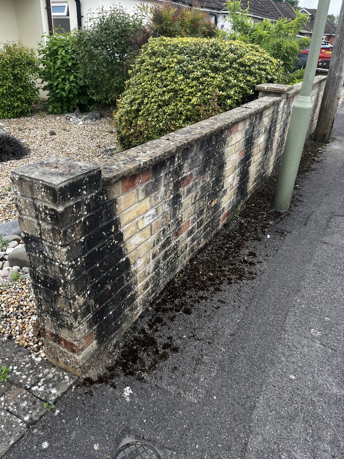 Brick garden wall streaked black with algae before cleaning